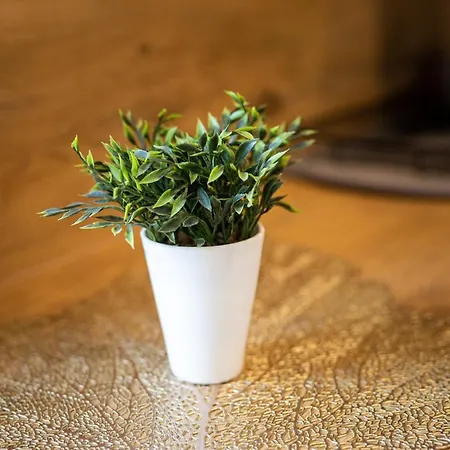 Apa Lägenhet Lapalice