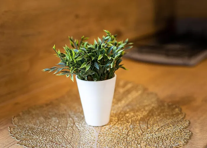 Apa Apartment Lapalice